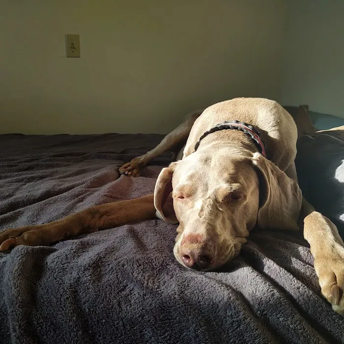 Moore Animal Hospital 3