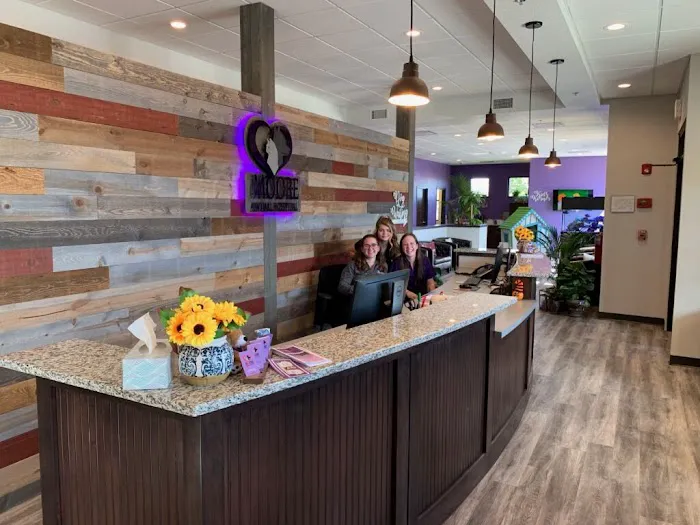 Moore Animal Hospital 1