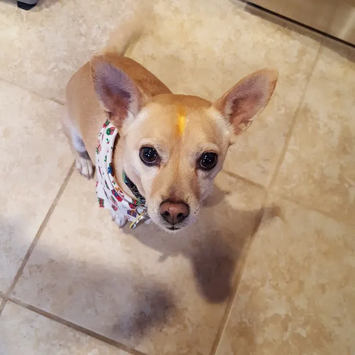 Moore Animal Hospital 7