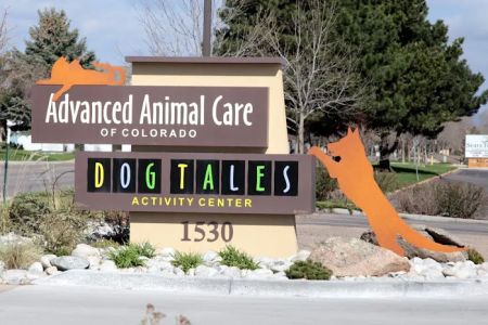 Advanced Animal Care of Colorado