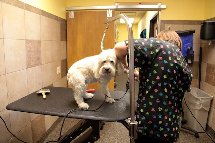 Advanced Animal Care of Colorado 8