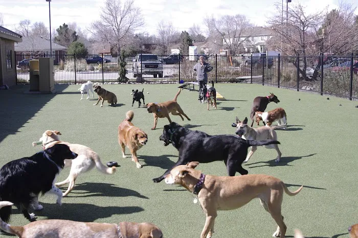 Advanced Animal Care of Colorado 2
