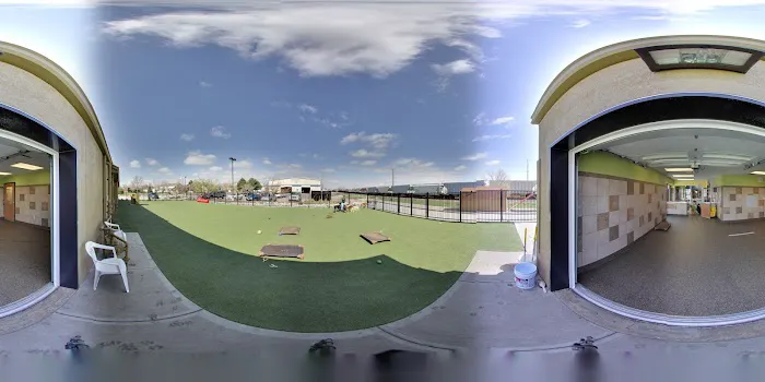 Advanced Animal Care of Colorado 9