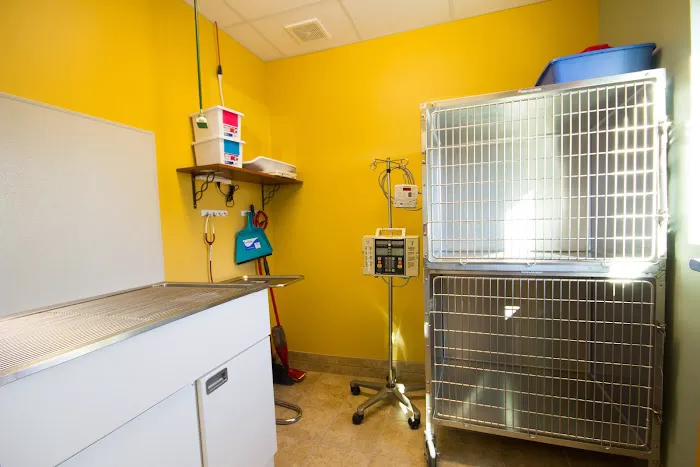 Fort Collins Veterinary Emergency Hospital 5