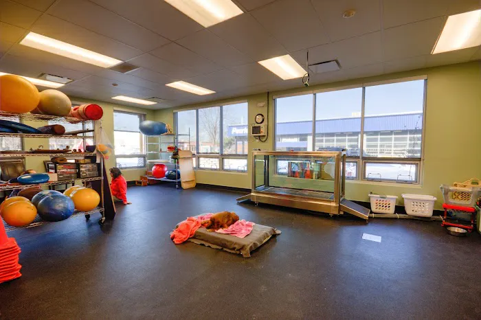Fort Collins Veterinary Emergency Hospital 7