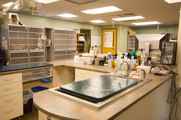 Fort Collins Veterinary Emergency Hospital 8