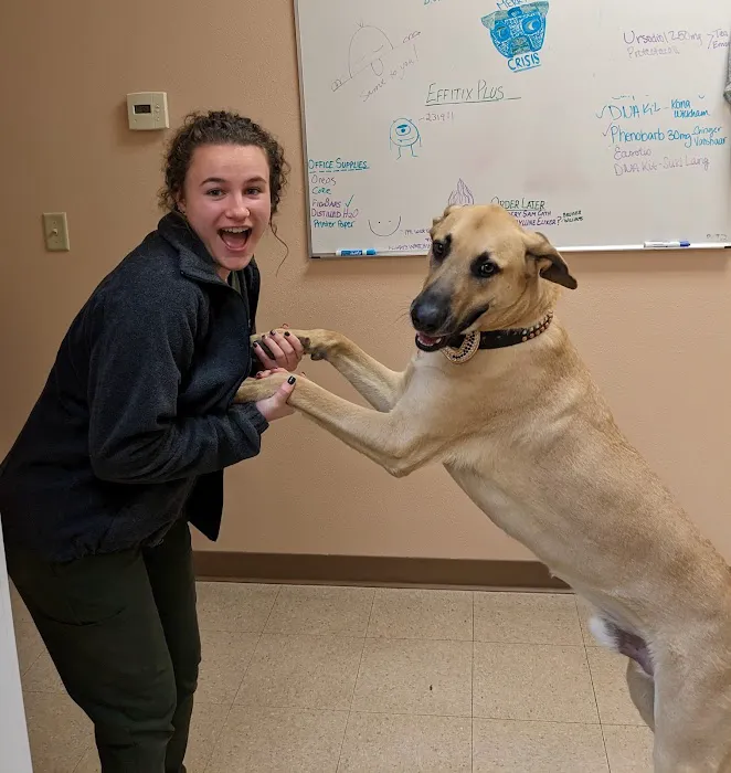Animal Hospital of Colorado 9