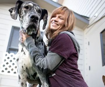 Aspen Grove Veterinary Care