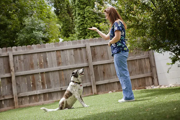 Aspen Grove Veterinary Care 8