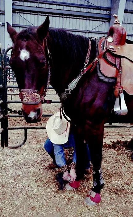 Vetline Equine 4