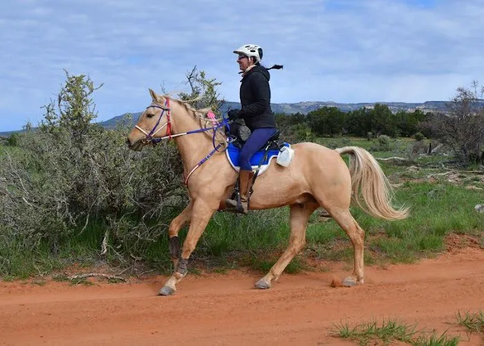 Vetline Equine 5