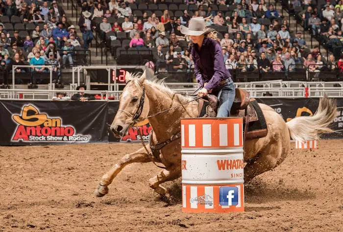 Vetline Equine 10