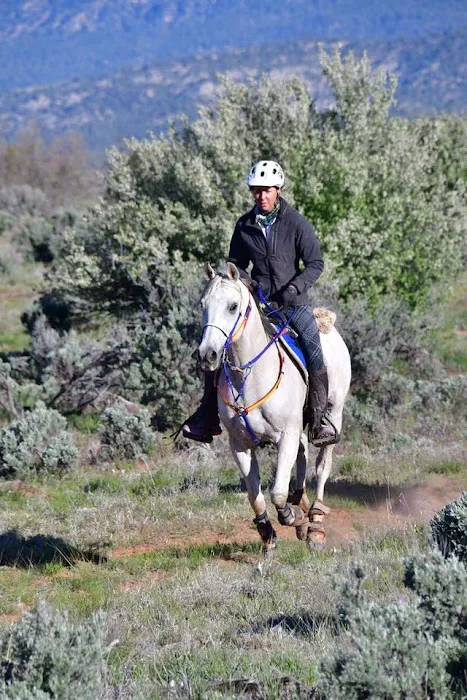 Vetline Equine 7