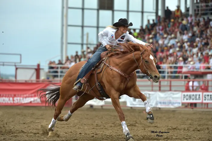 Vetline Equine 8