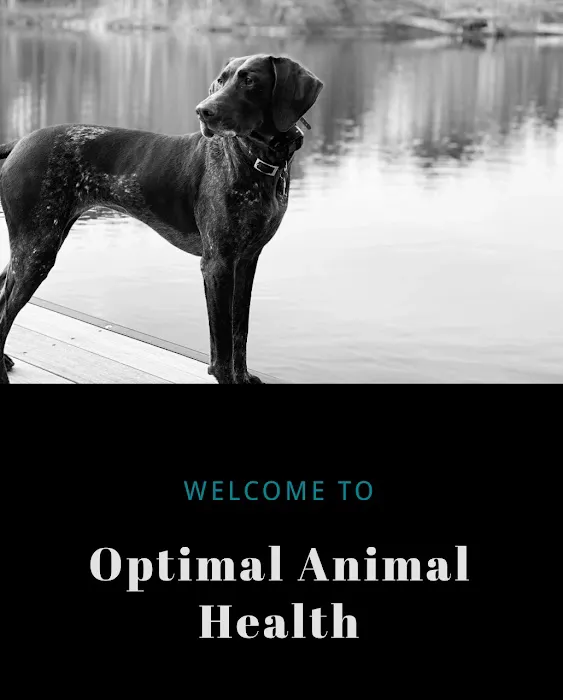 Optimal Animal Health 5