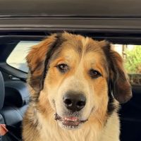 Front Range Veterinary Clinic ico