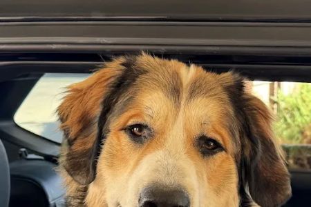 Front Range Veterinary Clinic