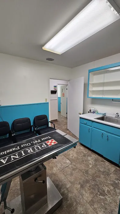 Airway Veterinary Hospital Colorado Springs 10