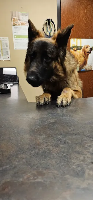 Pikes Peak Veterinary Clinic 3