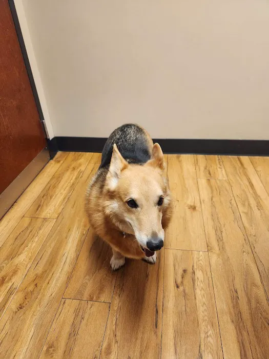 Pikes Peak Veterinary Clinic 7