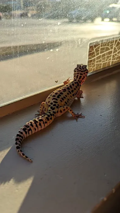 Pikes Peak Veterinary Clinic 1