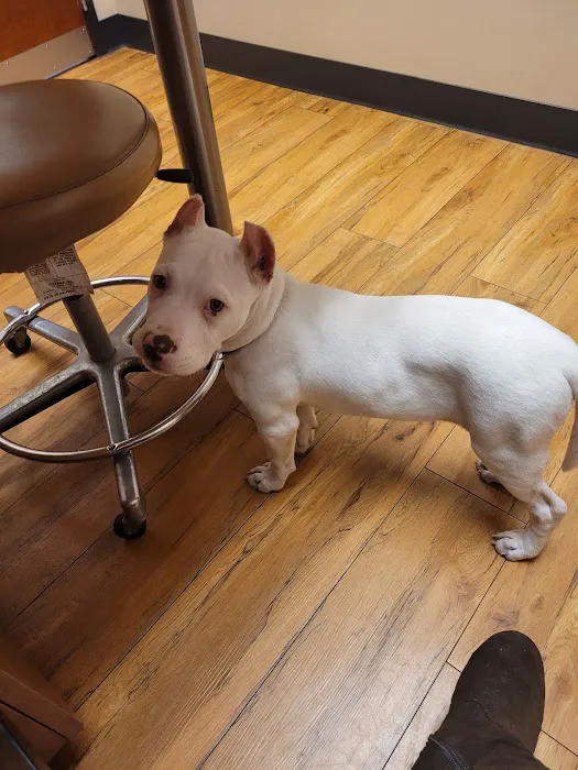 Pikes Peak Veterinary Clinic 10