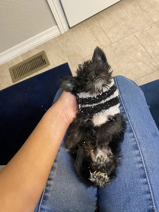 Banfield Pet Hospital 1