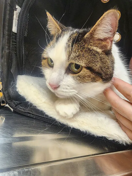 Banfield Pet Hospital 5