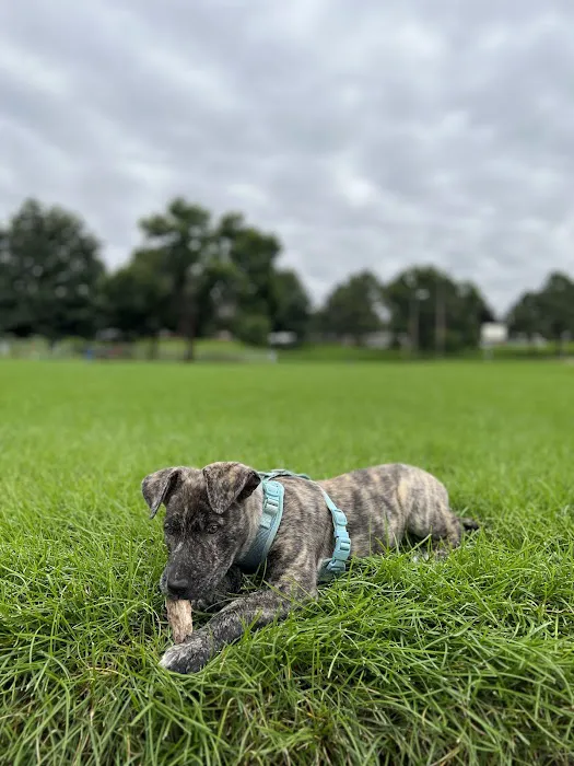 Banfield Pet Hospital 6