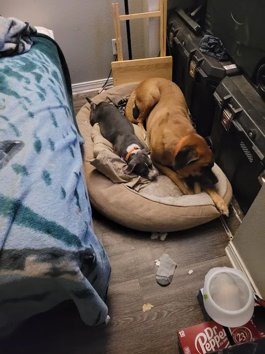 Banfield Pet Hospital 7