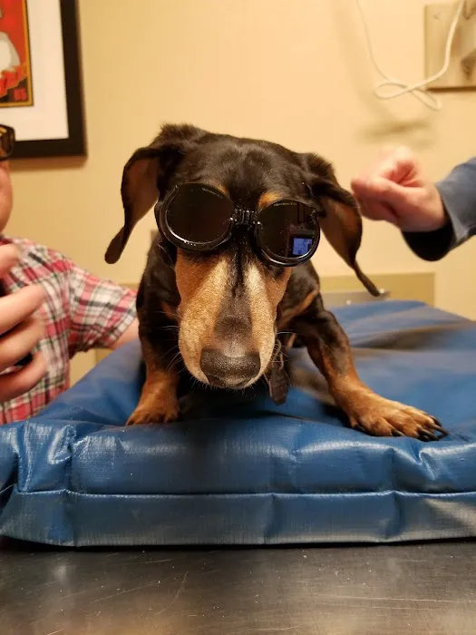 Bijou Animal Hospital PC 9