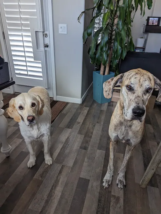 Fillmore Veterinary Hospital 12