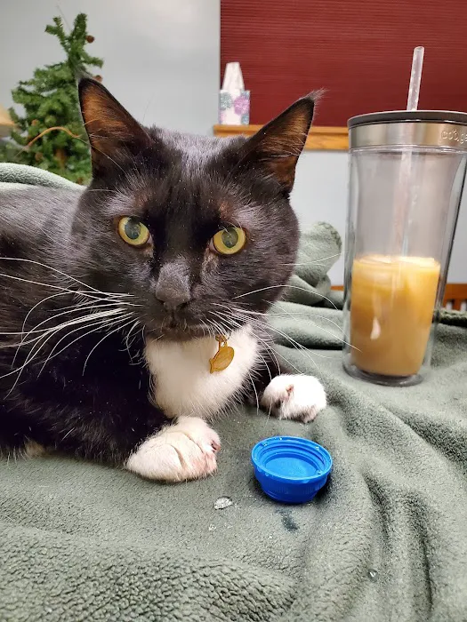 Fillmore Veterinary Hospital 12