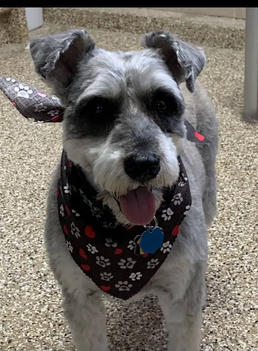 Fillmore Veterinary Hospital 12