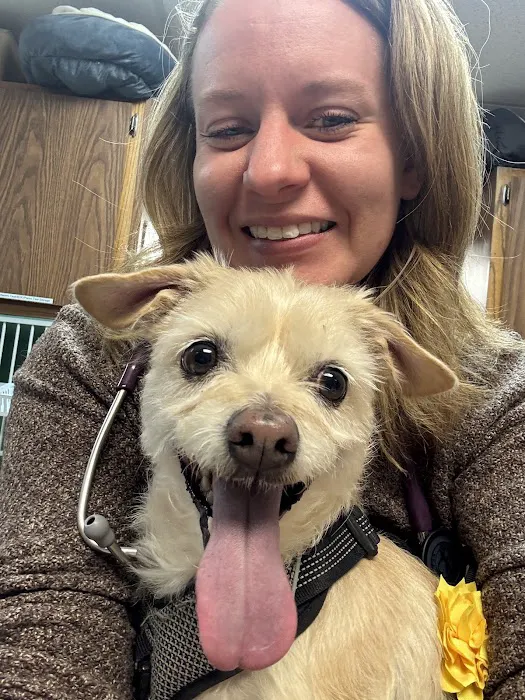Fillmore Veterinary Hospital 12