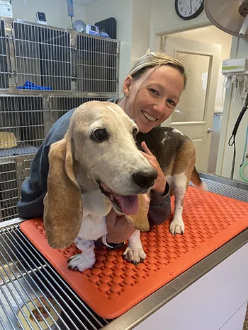 Atlantic Veterinary Services 5