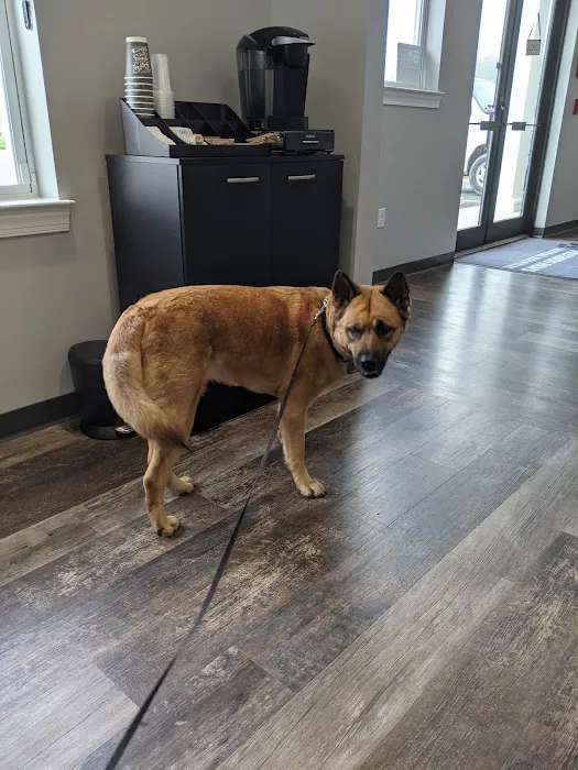 Precious Paws Animal Hospital 6