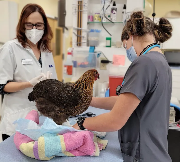 VCA Delmarva Animal Hospital 10