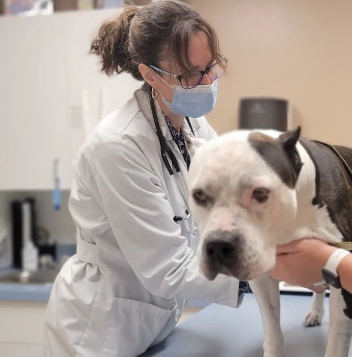 VCA Delmarva Animal Hospital 9
