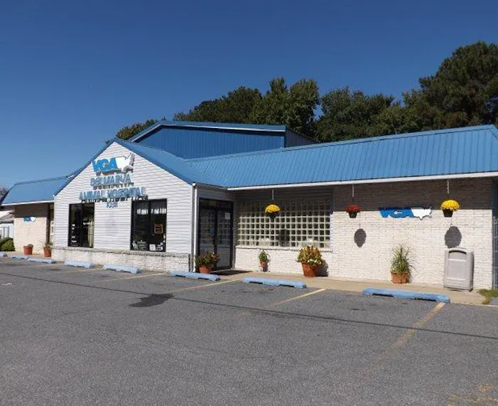 VCA Delmarva Animal Hospital 7