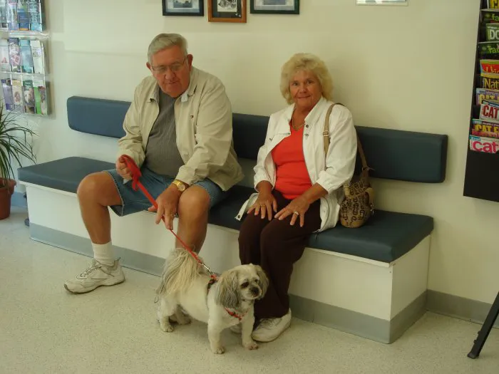 VCA Delmarva Animal Hospital 6