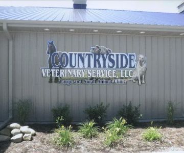 Countryside Veterinary Service