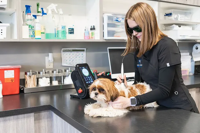 Countryside Veterinary Service 12