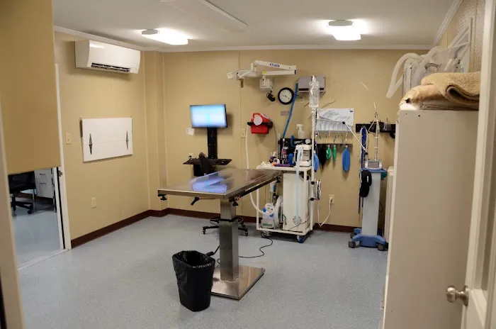Northside Veterinary Clinic 12