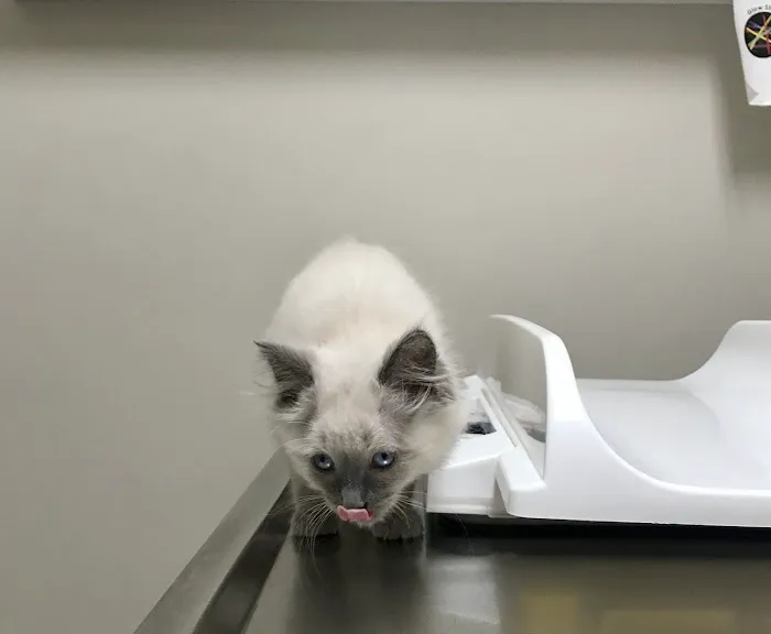 Etheridge Animal Hospital 5