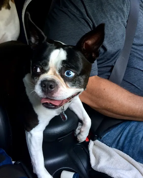 Etheridge Animal Hospital 6