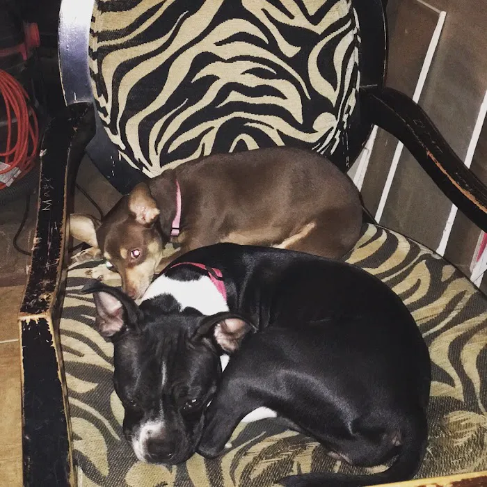 Etheridge Animal Hospital 1