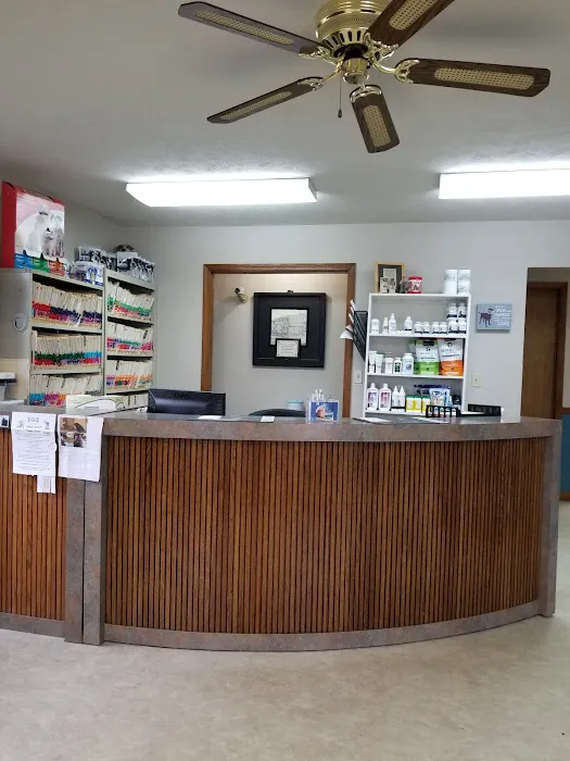 Animal Kingdom Veterinary Clinic 12