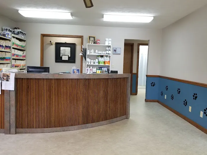 Animal Kingdom Veterinary Clinic 12