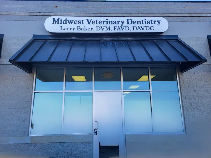 Midwest Veterinary Dentistry 12